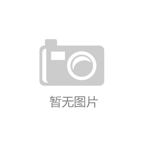 公司发展历程